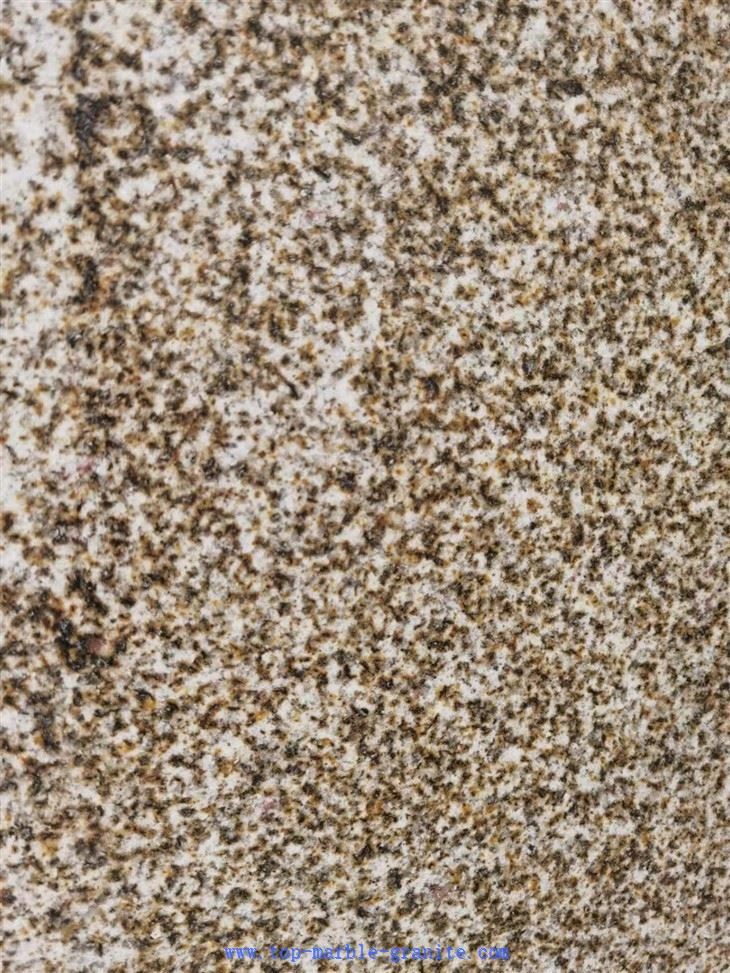 yellow granite polished